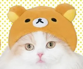 【萌上加萌】懒散治愈系猫咪诞生！《拉拉熊喵喵头套》实在可爱得太过分啦(*´Д｀)-绝对领域