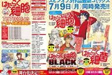 细胞拟人化作品《工作细胞》继动画化后，现在也决定改编真人舞台剧啦！-绝对领域