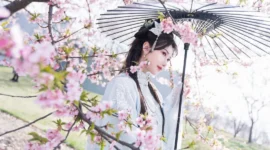 古风私影，樱花最美的时刻-绝对领域