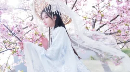 古风私影，樱花最美的时刻-绝对领域