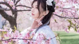 古风私影，樱花最美的时刻-绝对领域