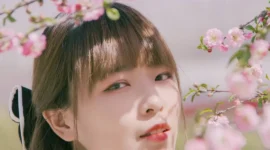 jk私影，少女情怀总是诗-绝对领域