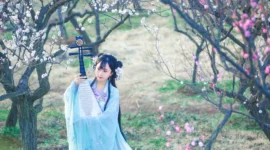 汉服 梅花泪-绝对领域