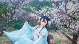 汉服 梅花泪-绝对领域