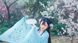 汉服 梅花泪-绝对领域