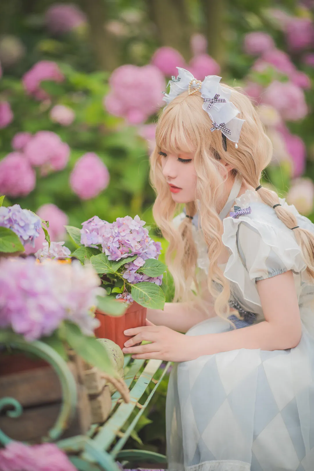 lolita私影，拍到了绣球花-绝对领域