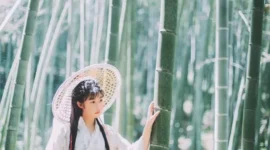 汉服写真，独坐幽篁里，弹琴复长啸-绝对领域