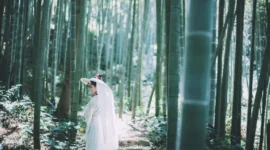 汉服写真，独坐幽篁里，弹琴复长啸-绝对领域