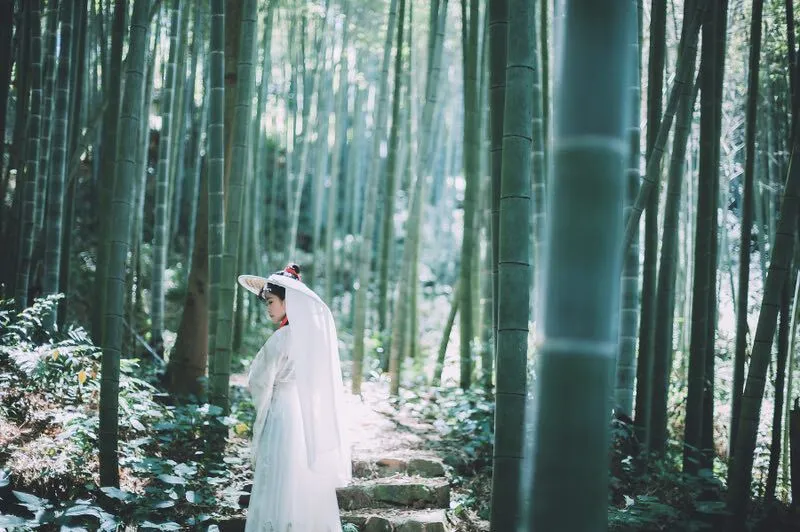 汉服写真，独坐幽篁里，弹琴复长啸-绝对领域