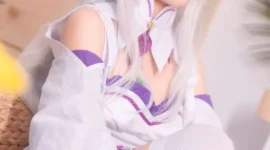 艾米利亚cosplay-绝对领域