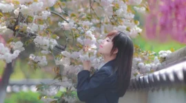春天，花花和jk更配哦！-绝对领域