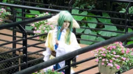 《狐妖小红娘》-绝对领域