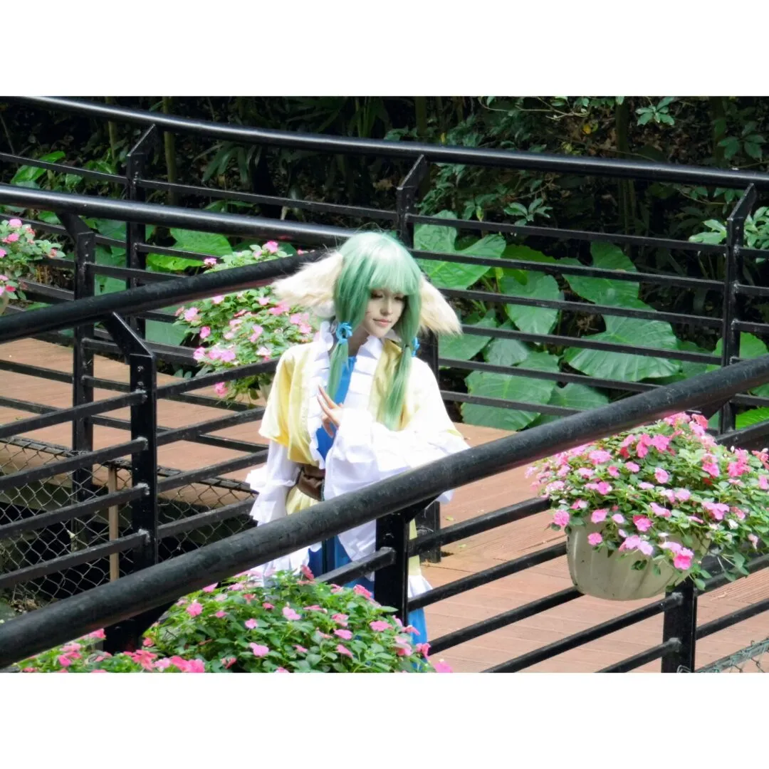 《狐妖小红娘》-2