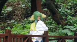 《狐妖小红娘》-绝对领域