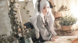 少女私影，银色双马尾-绝对领域