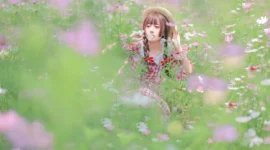 lolita写真-绝对领域