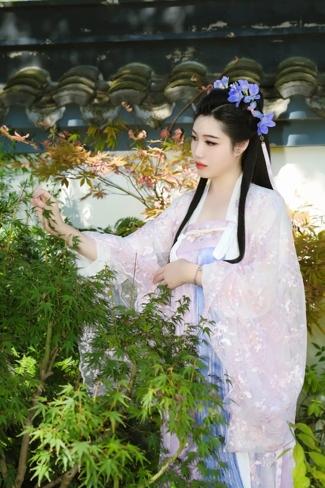 2021国庆上海植物园汉服写真-绝对领域