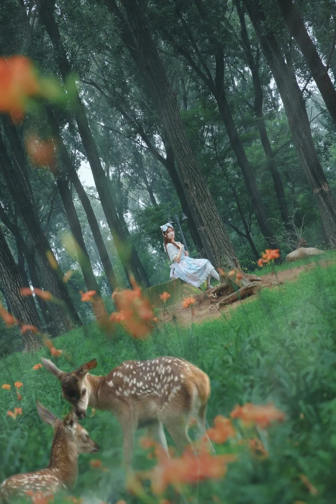 Lolita私影——classic 维多利亚-7