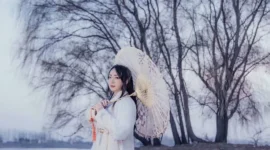 古风私影 对酒当歌，人生几何-绝对领域
