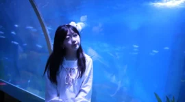 jk制服水族馆写真-绝对领域