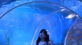 jk制服水族馆写真-绝对领域