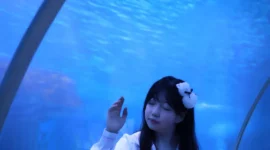jk制服水族馆写真-绝对领域