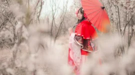 阴阳师樱花妖cosplay-绝对领域