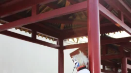 银神COS—怪兽夫妇的日常-绝对领域