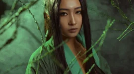 古有龙族-绝对领域