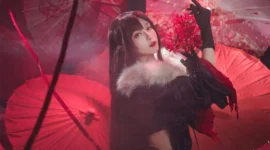 FGO 虞美人cosplay-绝对领域