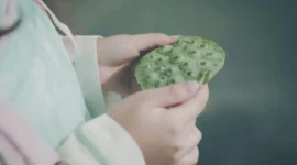 汉服，双倍美好-绝对领域