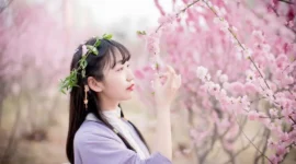 汉服私影，去年今日此门中-绝对领域