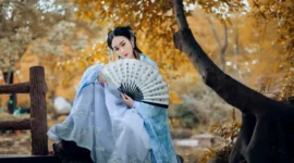 汉服私影 冰幻蝶-绝对领域