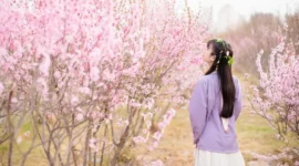 汉服私影，去年今日此门中-绝对领域