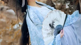 汉服私影 冰幻蝶-绝对领域
