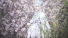 lolita私影 莱拉的赞歌-绝对领域
