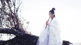 古风·摄影-绝对领域