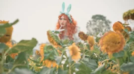 lolita私影，仙境中的小兔子-绝对领域