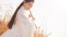 古风·摄影-绝对领域
