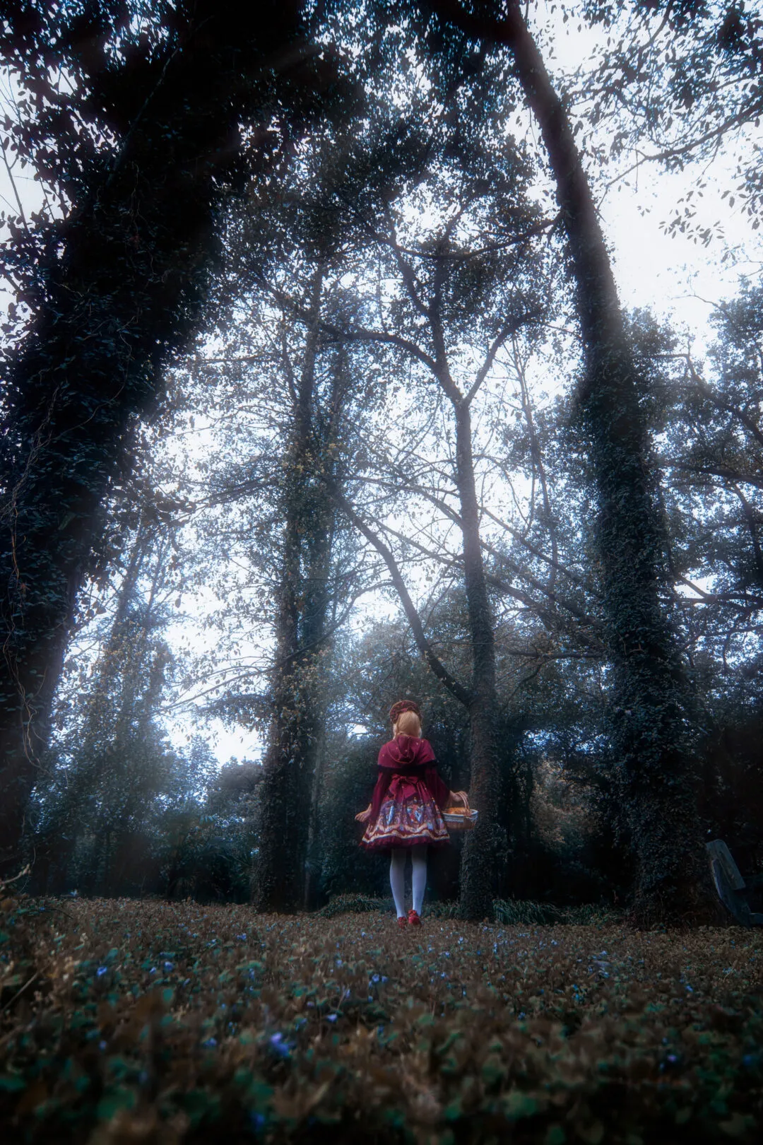 小红帽lolita-10