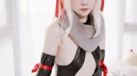 FGO 伊莉雅cosplay-绝对领域