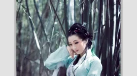 汉服私影 ，优美如画-绝对领域