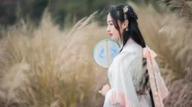 汉服私影-绝对领域