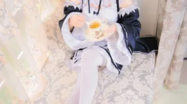 拉姆&amp-绝对领域