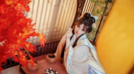 汉服私影，清淡的你-绝对领域
