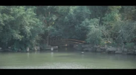 汉服 阙题-绝对领域