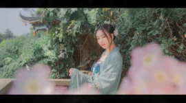 汉服 阙题-绝对领域