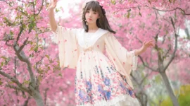 花一开，就相爱吧！-绝对领域