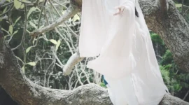 汉服皇天-绝对领域