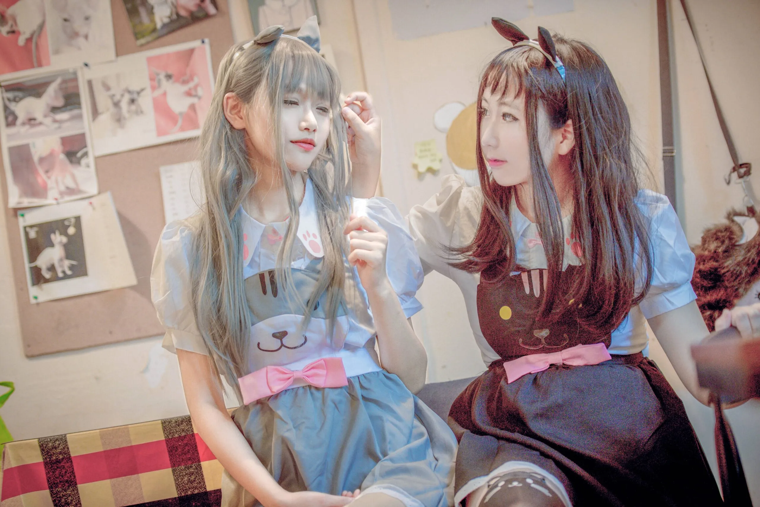 猫咪后院黑灰猫cosplay-绝对领域